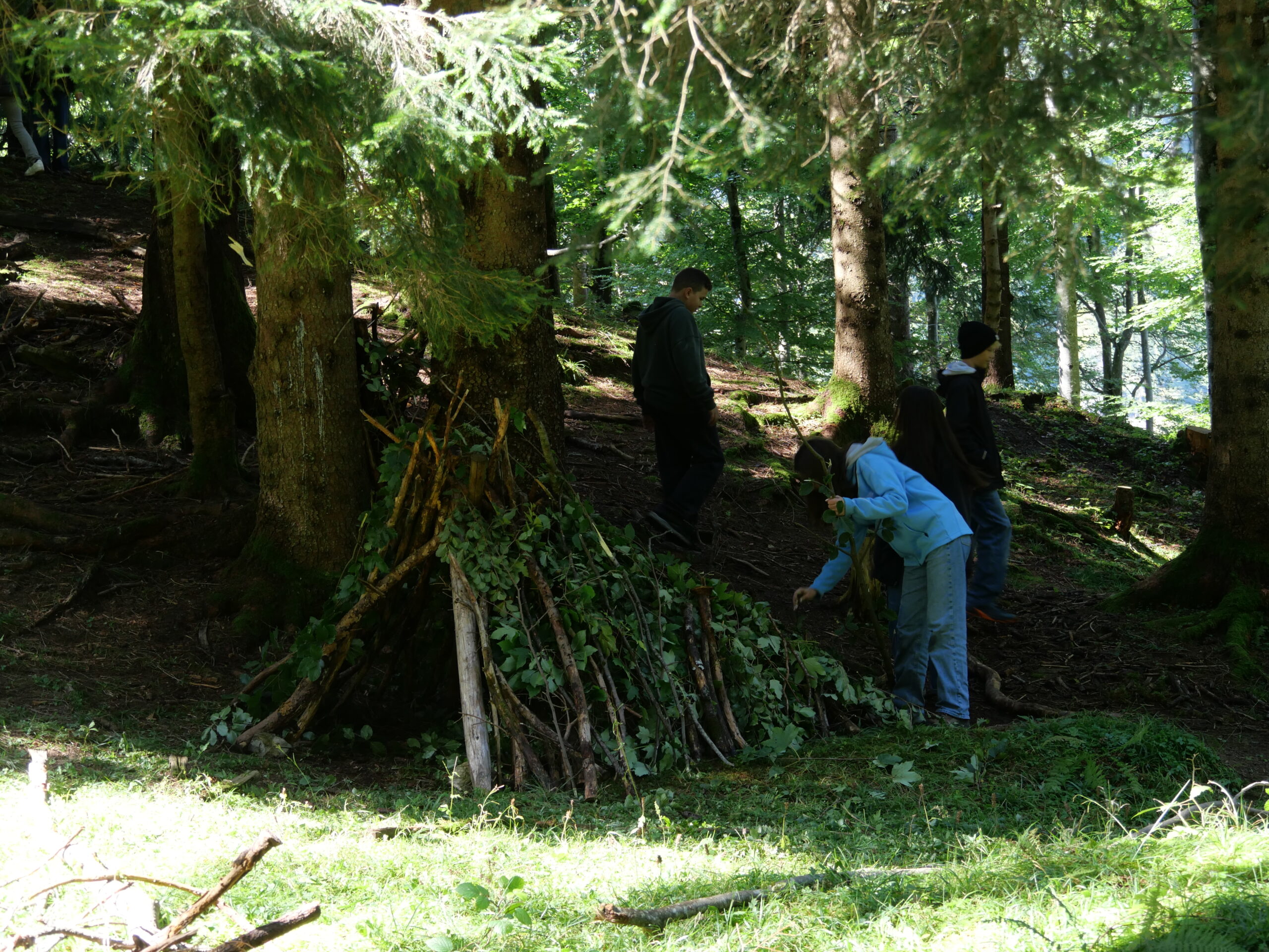 Wildnistag / Shelterbau – Bild 3